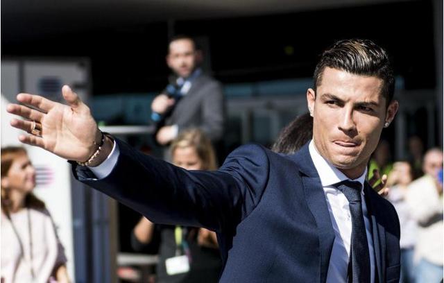 体系化分工 体系化分工